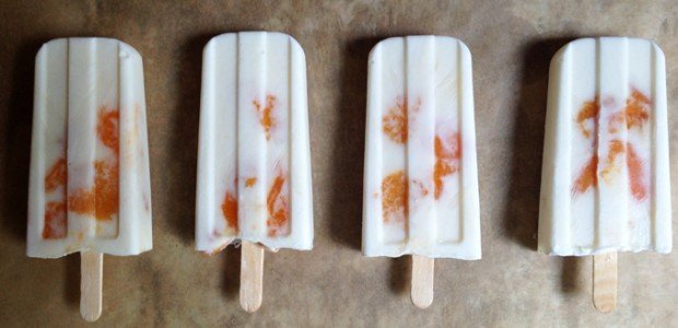 yogurt and roasted apricot pops